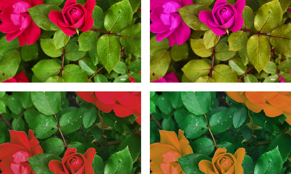 تغير الألوان